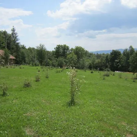 Molfar House Kosiv