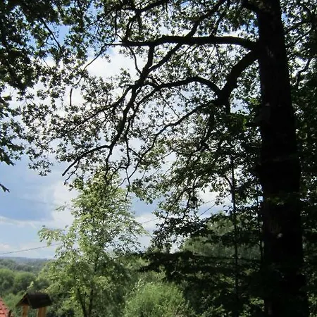 Molfar House Kosiv