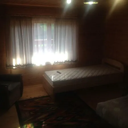 Molfar House Tatil Evi Kosiv