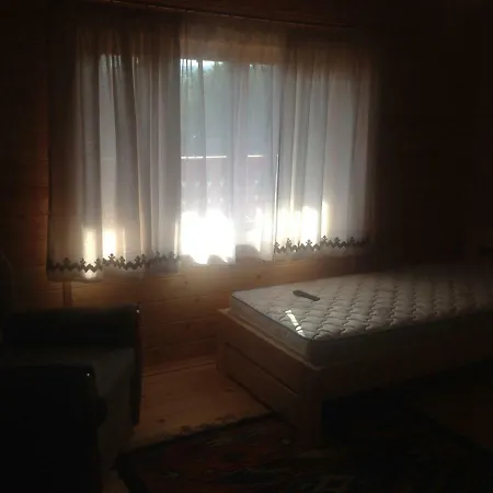 Molfar House