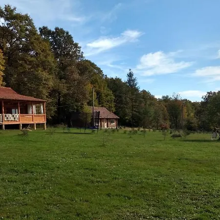 Molfar House