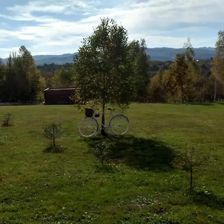 Дом отдыха Molfar House *