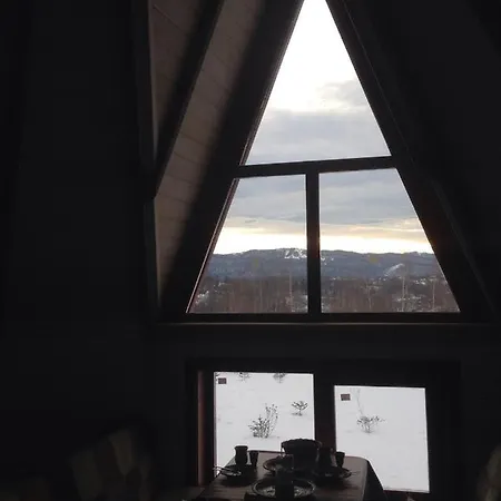 Molfar House Косов