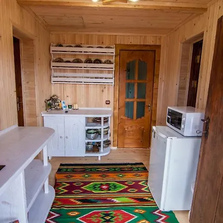 Holiday home Molfar House Kosiv