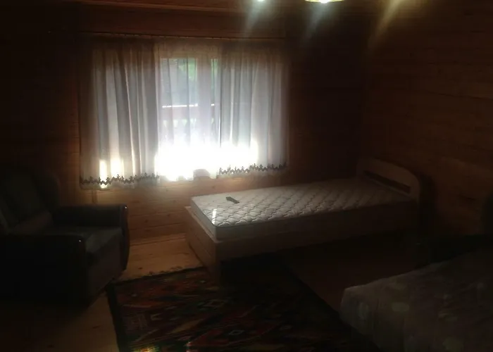 Molfar House 別荘 コシフ